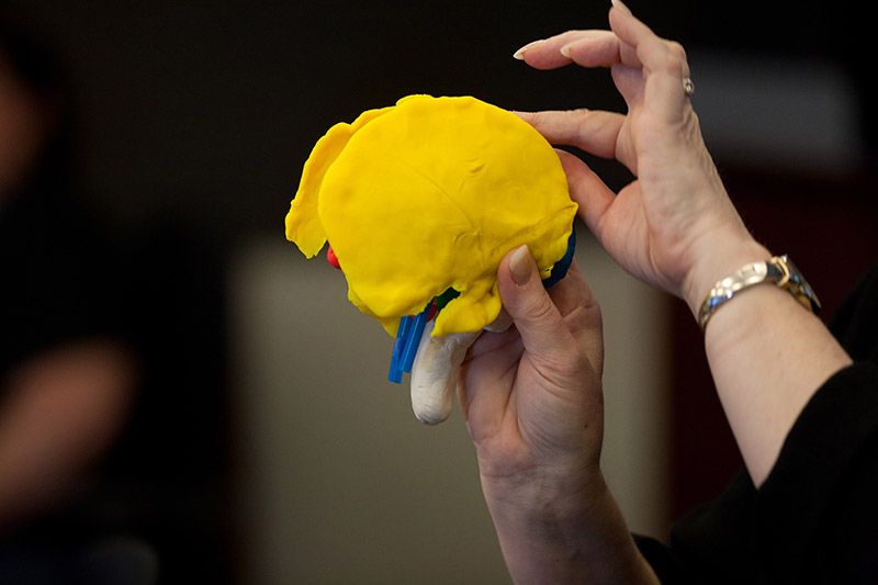 Close up of Play-Doh brain.