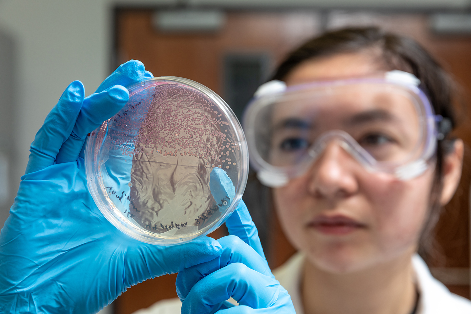 Student in research lab