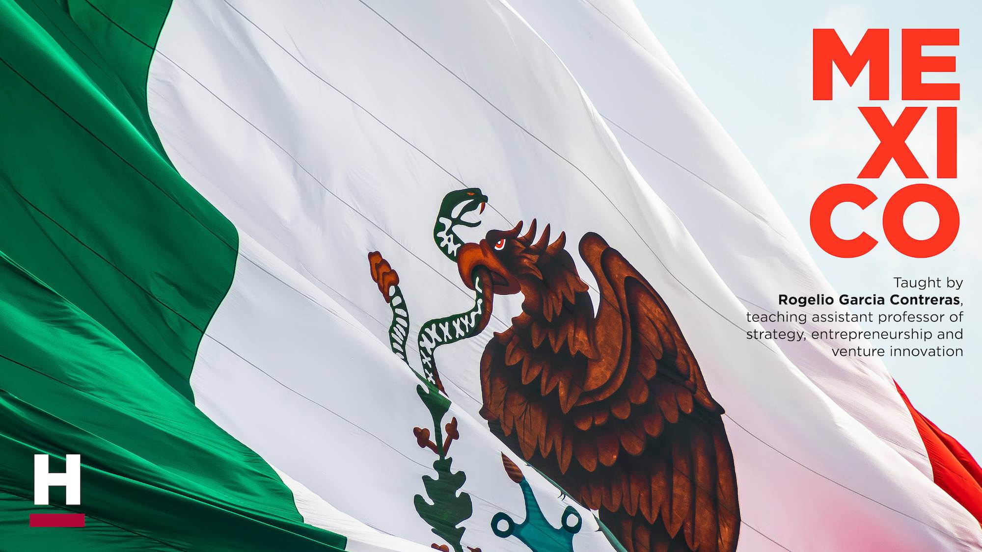 Photo of Mexico's flag. 