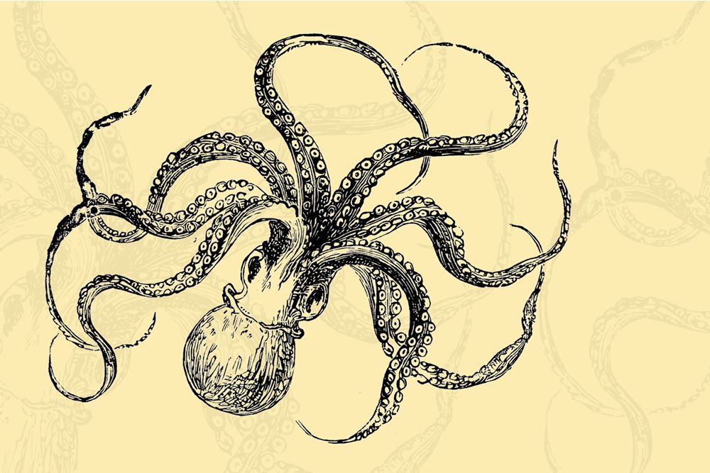 19th-century graphic of an octopus