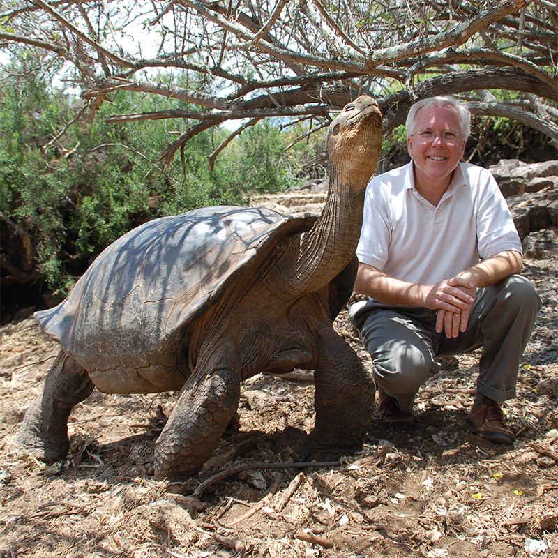 man squats next to giant turtle