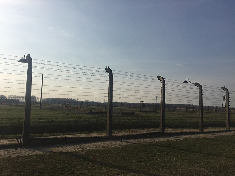 barbed wire fence surrounding concentration camp
