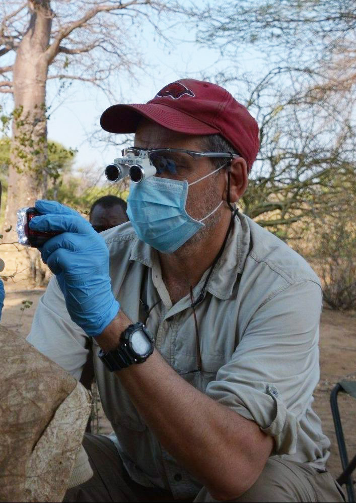 man in surgical mask holds flashlight in field