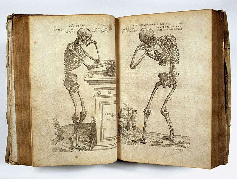 old book with illustrations of bored-looking skeletons