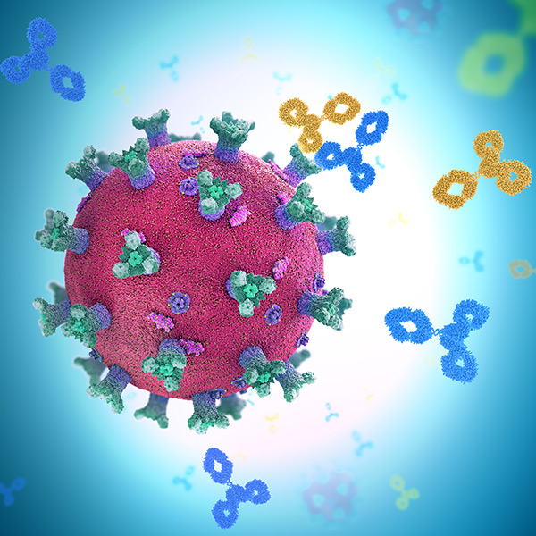 Immunology and the Vaccine