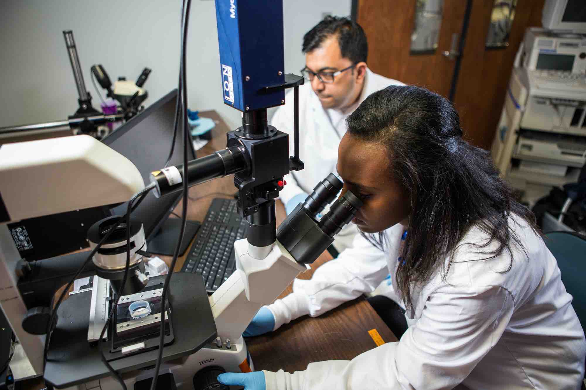 Student at a microscope doing research